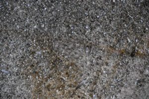How Bat Guano Affects Indoor Air Quality